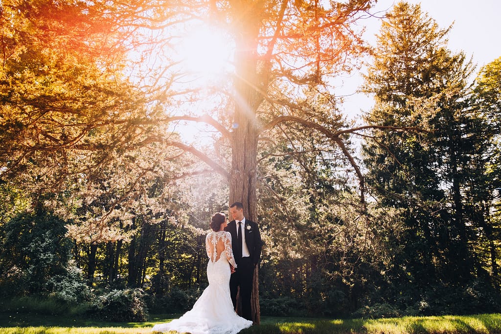 Leaves Changing on a tree - fall weddings